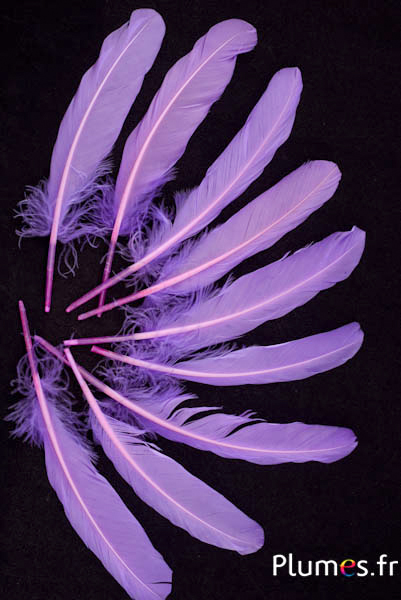 Oie - 15-21 cm - lilas